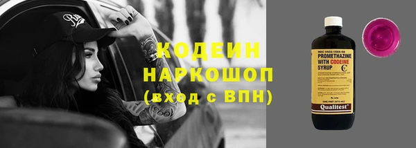 ГАЛЛЮЦИНОГЕННЫЕ ГРИБЫ Михайлов