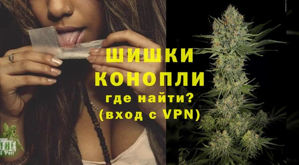 шишки Михайловка