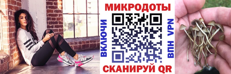 Псилоцибиновые грибы MAGIC MUSHROOMS  купить наркотик  Нефтегорск 