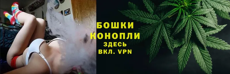 Конопля SATIVA & INDICA  цены наркотик  hydra вход  Нефтегорск 